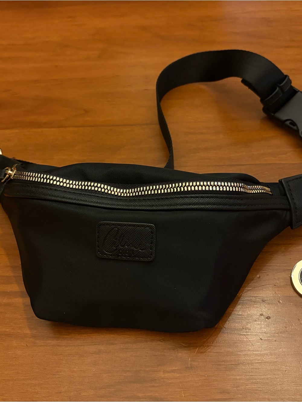Céline Dion Designer belt bag